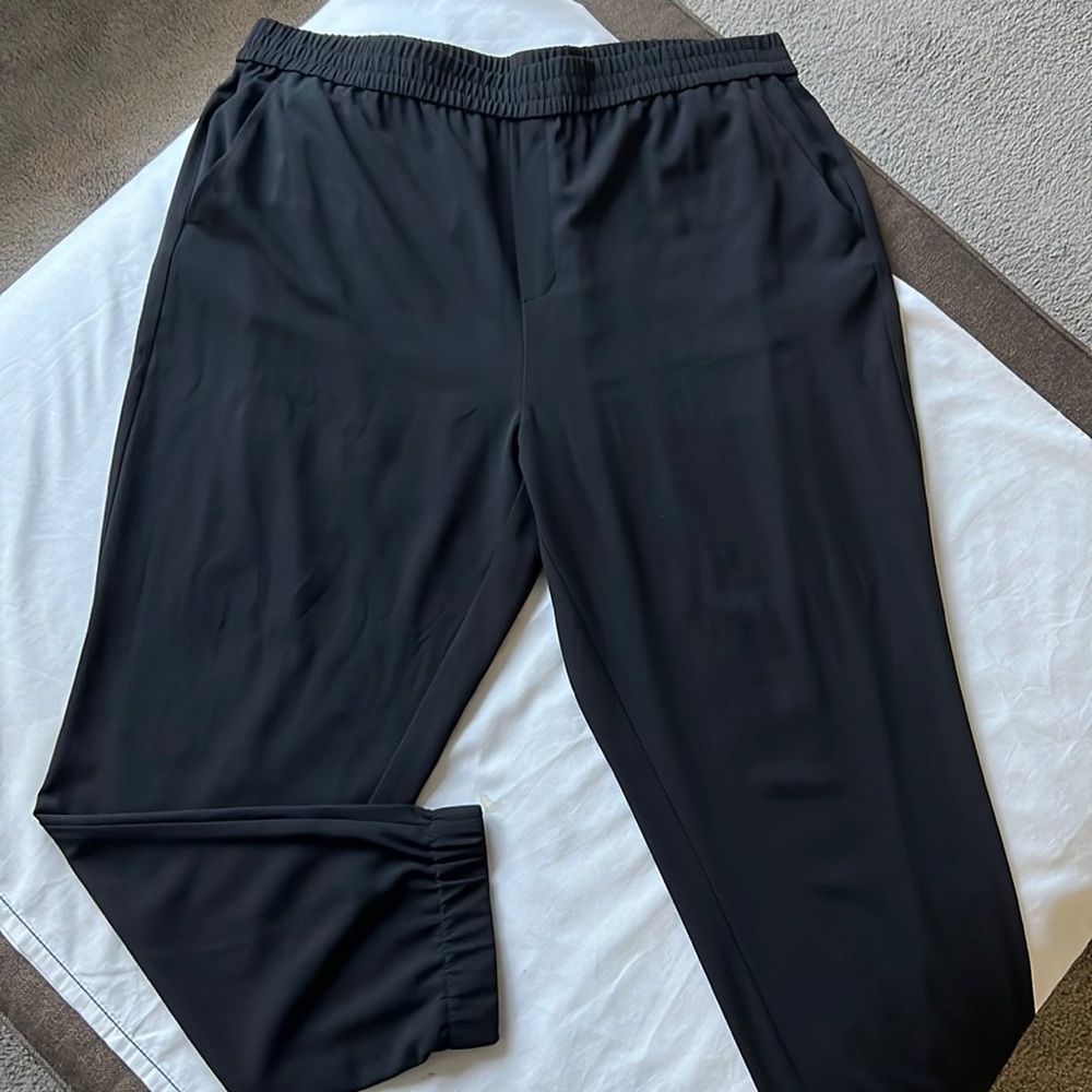 Banana Republic Silky Jogger